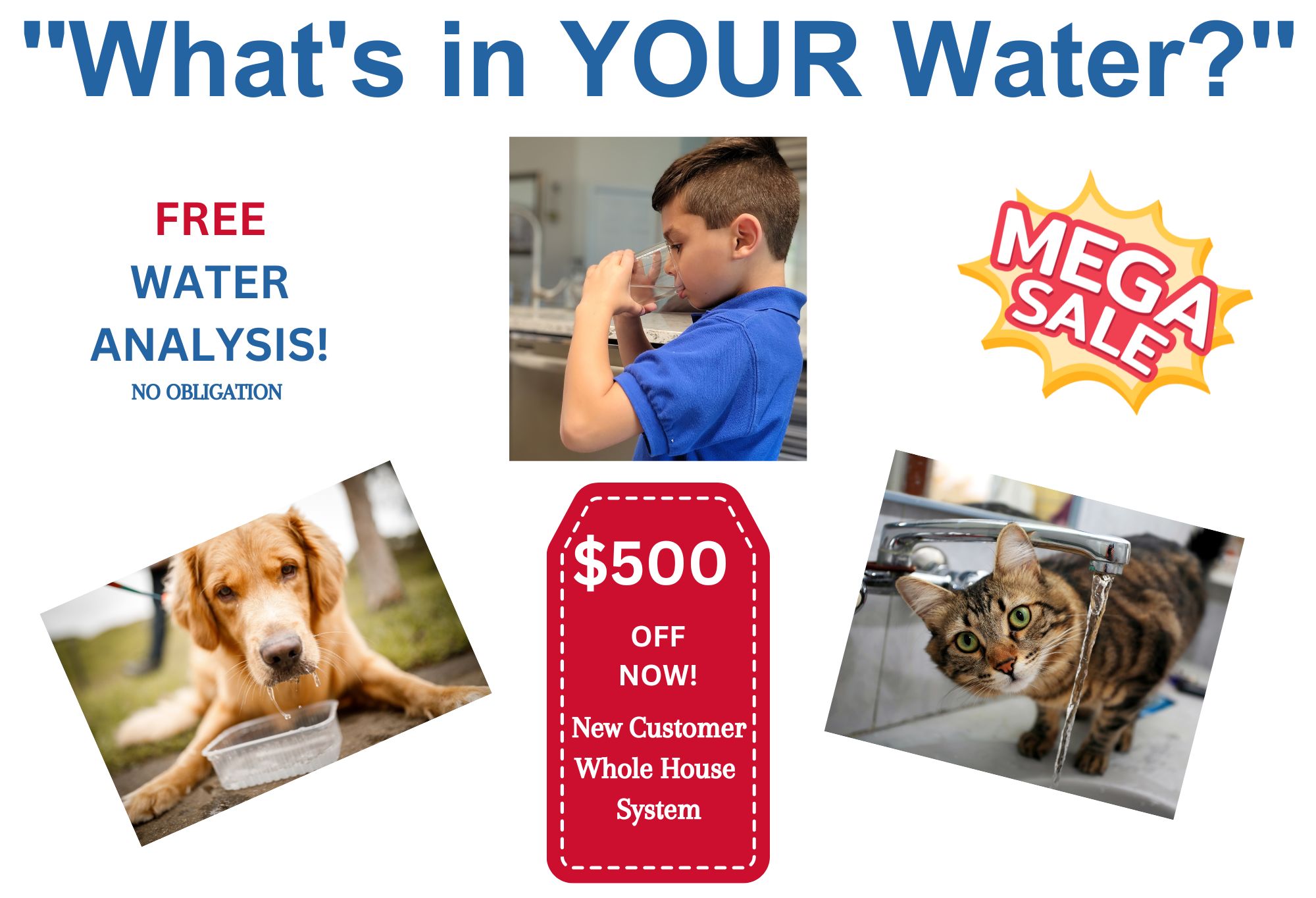 A marketing graphic for Lake County, FL, titled "What's in YOUR Water?" promoting a free water analysis and a $500 discount for a new whole-house water system, with images of a boy drinking water, a dog, and a cat, all benefiting from clean water.